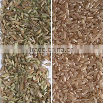 China Best Mini Rice Color Sorter 4 T/h Small Rice Color Selector photo-4