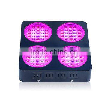 2017 Hot Sales High Efficient 3W LED Diodes 300W 400W 600W Led Grow Light photo-2