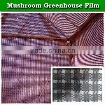 agricultural anti aging uv protection greenhouse plastic film for mushroom growing