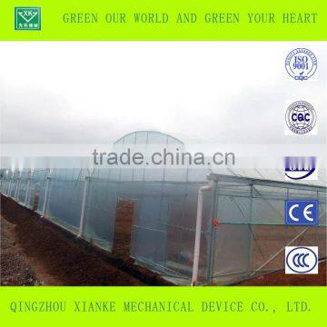Multi-Span Seeding Greenhouse in Winter photo-2
