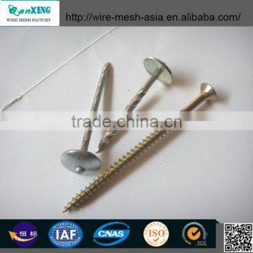 Hot Sales Polished Common Nail Roofing Nails Screw Shank Nail With Washer photo-2