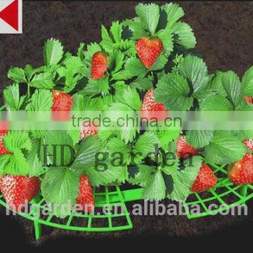 Outdoor Garden Useful Removable Plastic Strawberry Planter Support photo-4