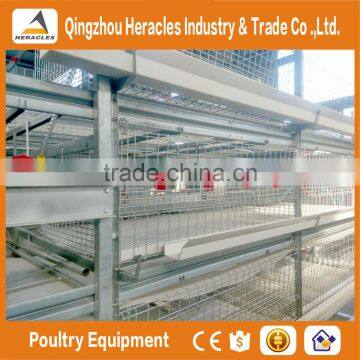 China Factory Price Trade Assurance Chicken Poultry Farm Equipment Layer Cage photo-4