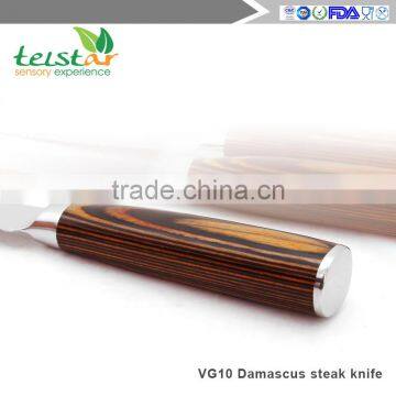 Japanese VG-10 67 Layers Damascus Premium Steak Knife 4.5-inch With Gift Box photo-4