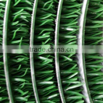 Environmental Protection Gold- Rush Grass photo-3