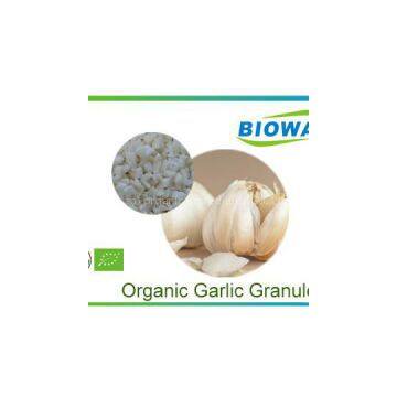 Organic Garlic Granule