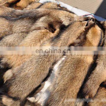 Factory wholesale raccoon skins