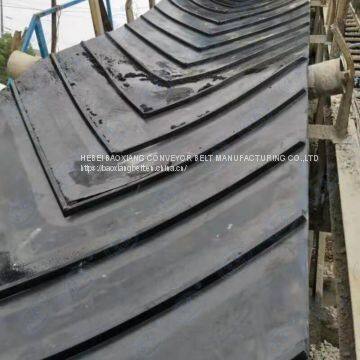 Polyester Conveyor Belt Inflammable Conveyor Belt Alkali Resistant Conveyor Belt General Conveyor Belt photo-4