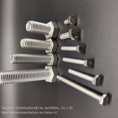 Stainless Steel Hex Bolt M6*30