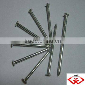 common nail (Manufacturer)