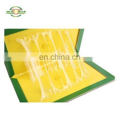 Sticky Cardboard Mice Gum Trap Paper Pad Traps Rat Glue Mouse Trap