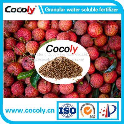 Scientifically formulated and nutritious granular water-soluble fertilizer Cocoly