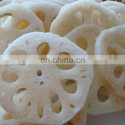 Frozen Organic Lotus Root Slices /Frozen Vegetable Frozen Sliced Lotus Root Made in Vietnam photo-3