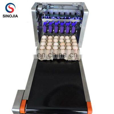 Farm Use Egg Date Printer Printing Machine / Eggs Inkjet Printer