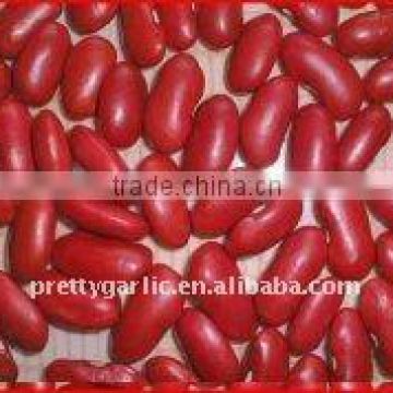 fresh Red Kidney Bean England type (RKB)crop 2011