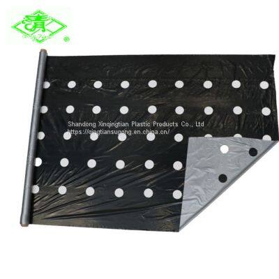Plastic Mulch Film for Strawberry Planting photo-5