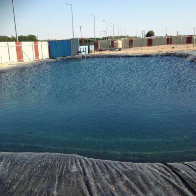Fish Pond Liner Woven Reinforced HDPE Waterproof Geomembrane Fish Farming Cover Black Membrane photo-4