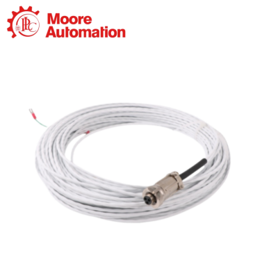 Bently Nevada 16925-17 photo-2