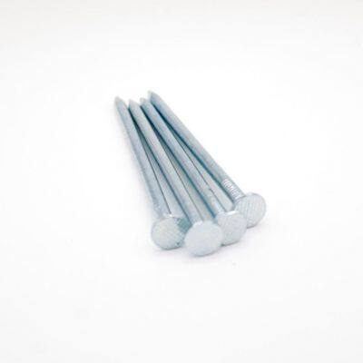 Hot Dipped Galvanized Carbon Steel Wire Nails for Construction - Size Customized