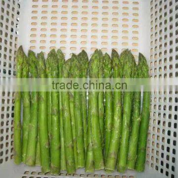 Frozen Green Asparagus Cuts photo-3