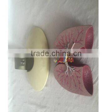 Simulation Model for Medical Research and Students Learning photo-6