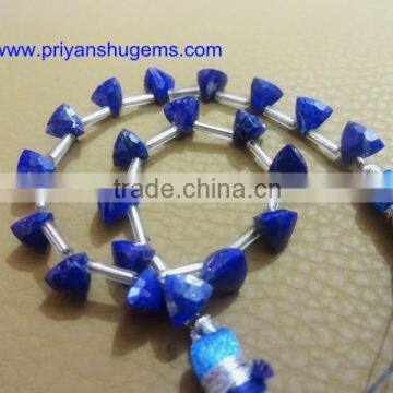 Side Drilled Faceted Trillion Lapis Lazuli