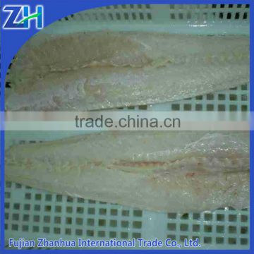 frozen hake fish fillet