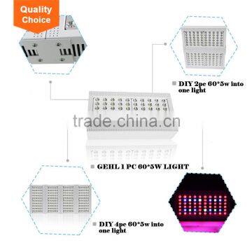 Shenzhen Two Switches With 5 w COB Chip X300 Led Grow Light photo-3