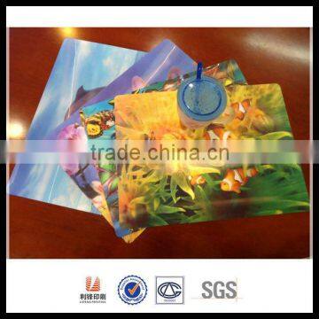 3D lenticular animal table mats of animal design Cheap plastic table mat