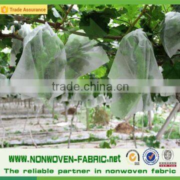 Agriculture pp Spunbond Nonwoven Fabric /agriculture Ground Cover for Plant,flower,fruit Protection photo-4