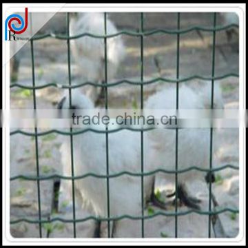 holland wire mesh fence/euro panel fence poultry fence