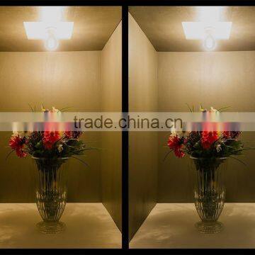 Hangzhou Linan Led Filament Bulb 230v/120v CE Standard 8w Filament Led photo-6