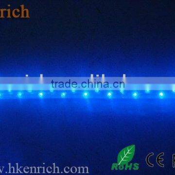 LED Rope light 3 wire flat blue