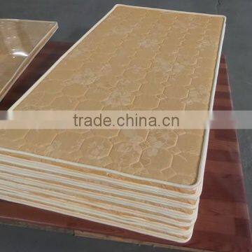 Factory From China Natural Thin Coconut Palm Mattress