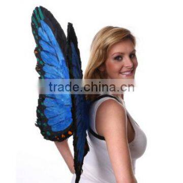 Feather Products Decorative Feather Butterfly Wings photo-2
