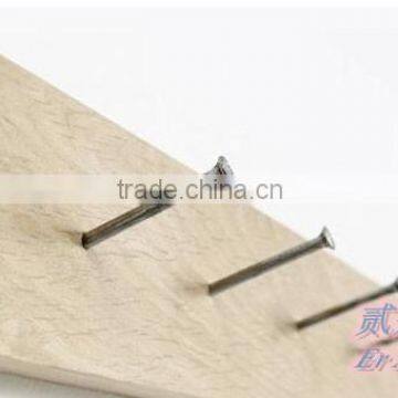 iron nail factory/polished nails/Iron nails in GuangZhou Zengcheng China supplie