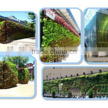 Garden Wall Pot Holders, Landscape Modelling of Flower Wall