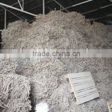 Licorice Root for Medicinal Usage photo-4