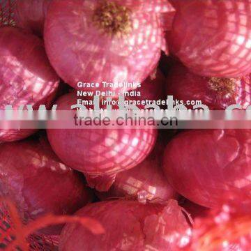 Red Onion India Exporter