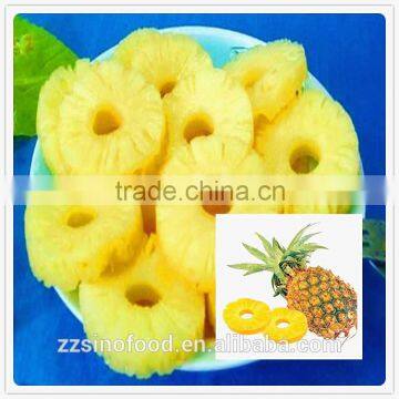 Canned Pineapple Slice Price