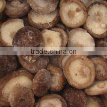 IQF Shiitake Mushroom