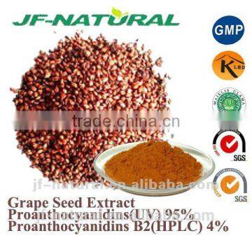 grape seed extract-proanthocyanidin Certificated with US GMP, KOSHER, HALAL, ISO, HACCP