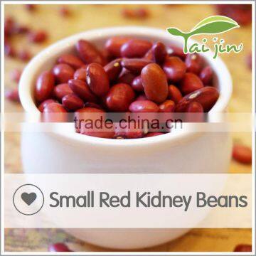 High Quality Organic Red Kidney Beans Specification