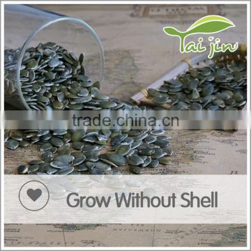 NON-GMO Chinese pumpkin seeds kernel GWS