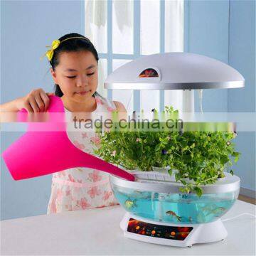 Aquarium Supplies photo-3