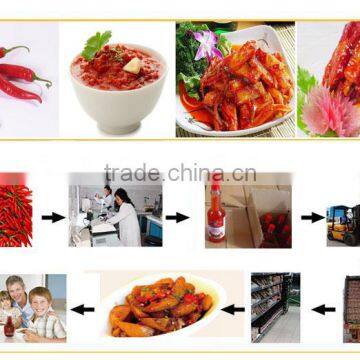 Natural Hot Chilli Oil Soya