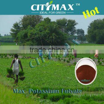 Organci Fertilizer Potassium Fulvic