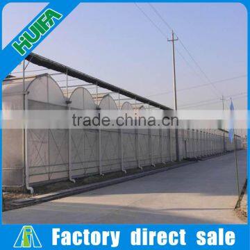 Large Multi-span Agricultural Greenhouse for Sale photo-4
