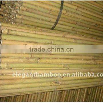 tonkin drilled bamboo fence