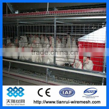 Poultry equipment Layer Chicken cage